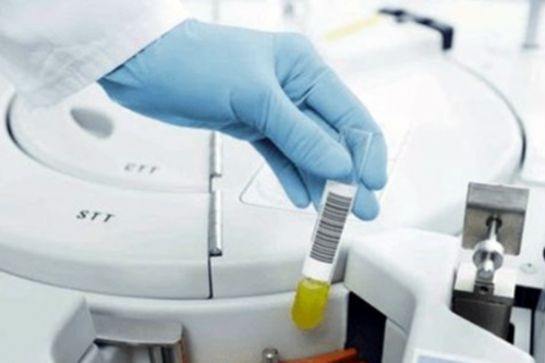 长沙医院代生男孩,2026
年长沙湘雅医院可以做供卵试管婴儿吗？要排队吗？