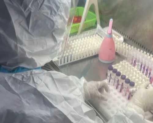 长沙有做试管代怀,拿别人**做试管婴儿价格是多少-试管移植后环孢素一天吃多
