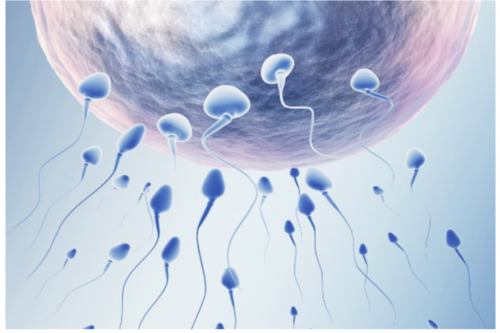 长沙代孕包成功价钱,长沙中信湘雅医院做试管怎么样？做试管的费用要多少？