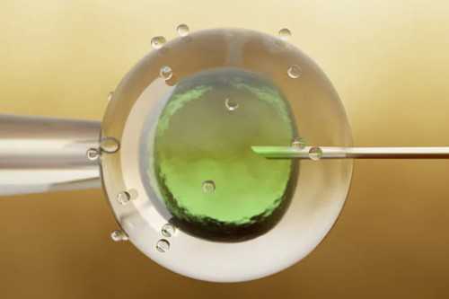 闭经吃什么药,闭经的危害