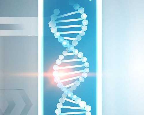 如何准确计算女性排卵期？教你科学预测受孕时间