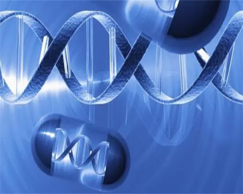 婴儿运动大全：从0到1岁的全面发展指南