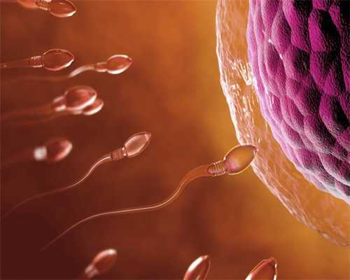 乌克兰医院试管婴儿成功(乌克兰试管婴儿医生)