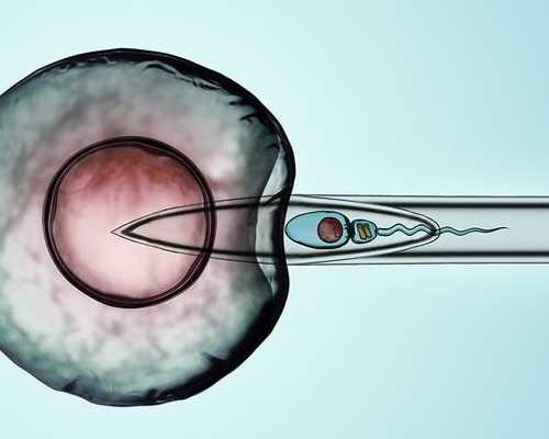 下奶阿胶糕真的管用吗