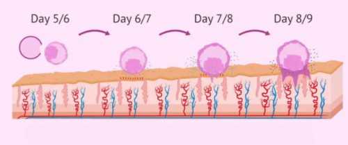 长沙代孕妈妈靠谱吗,第二代试管婴儿生出来的宝宝健康吗_2026农历10月生男生女