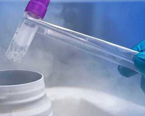 长沙代生孩子犯法吗,长沙中信医院做个试管婴儿要多少钱