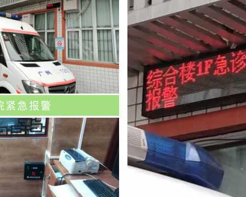 备孕旅行的最佳选择：日本是否合适？