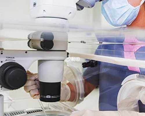 孕妇们需注意的禁忌水果有哪些？