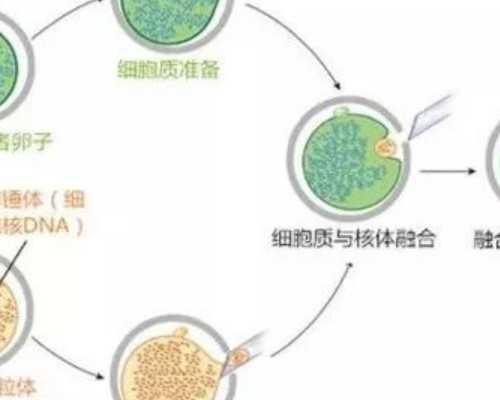 长沙代孕网包性别,长沙哪个医院做输卵管检查比较好