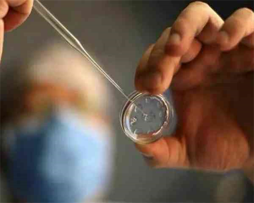 湘潭妇幼保健院试管婴儿成功率预估2026助孕案例分享