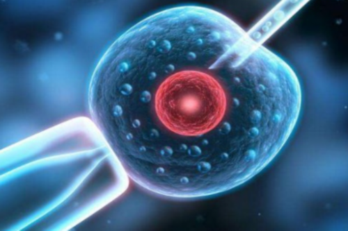 闭经了还有办法治疗吗（引起闭经和溢乳的因素）